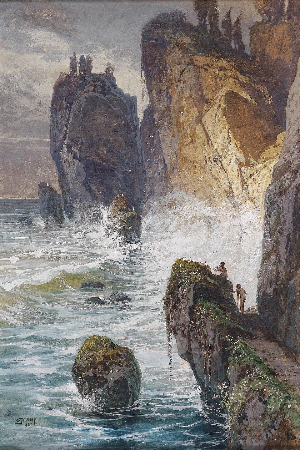 Fauna su una costa rocciosa 1921